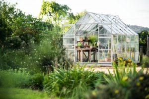 Jak efektywnie uprawiać warzywa w szklarni ogrodowej i jak wyposażyć ją do tego celu, oraz gdzie najlepiej umieścić szklarnię w ogrodzie